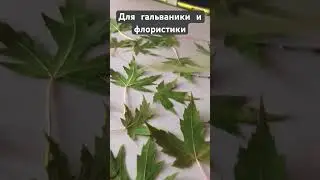 Для гальваники, флористики и гербария