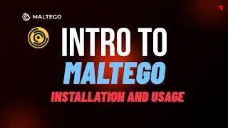 Maltego Tutorial for Beginners | Installation & Basic Usage in Kali Linux