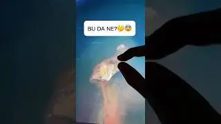 Google Haritalarda Bulduğu Şeye Bakın! 
