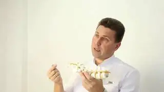 5 мифов о копчике. Мнение нейрохирурга