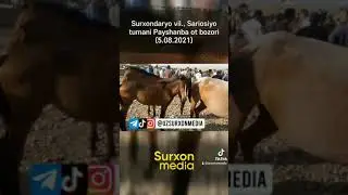 Сурхондарё Сариосиё тумани от бозори 