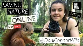 Saving nature online: How to use the internet to tell conservation stories