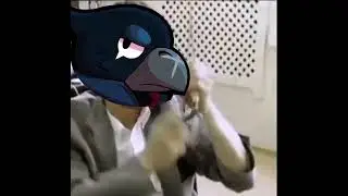 POV: Ты играешь за Шелли в Соло