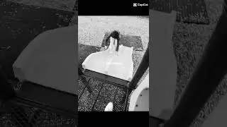 Untitled video