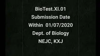 BioTest-01(XI)
