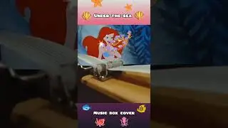 Under the sea 🐠 Music box cover
