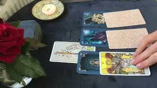 ДЕВА 🔮 23-29 сентября 2024