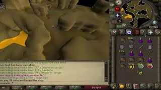 Bronze Dragon 2019 Slayer Task OSRS (range)