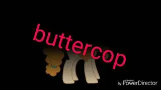 Ultimo video del 2017