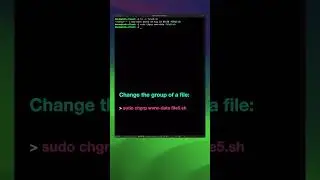 Change file and folder group ownership | Linux for beginners 
