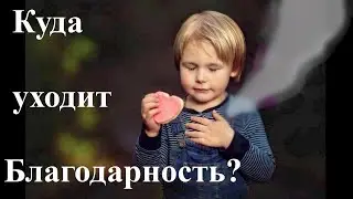 Куда уходит благодарность, или Падежи «не в тему»