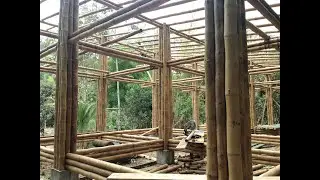 The use of bamboo as a resource of value for architecture in Ecuador