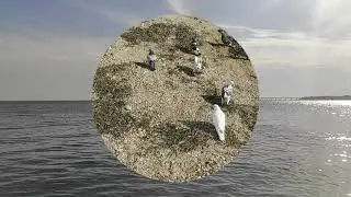 Крымский мост - бархатный сезон продолжается!!!