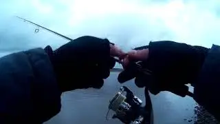 Бешеный клёв окуня на микроджиг. Спиннинг Zetrix Forra. Часть 2.