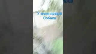 27 марта 2023 г.
