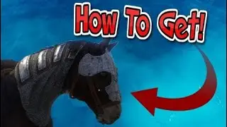 How To Get Horse Armor  | Kingdom Come Deliverance