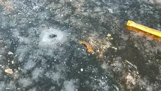 рыбалка по первому льду на Селигере