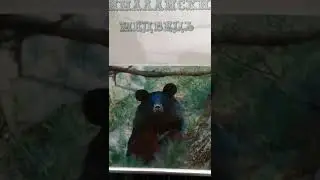 Сочи