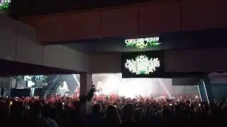 metalelka(2)