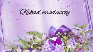 Dobro jutro! Nikad ne odustaj