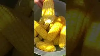October sweet corn, too bad it's the last one.