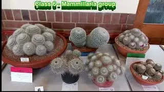 Croydon Branch Summer Show 2023