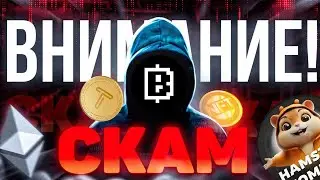 Blum СКАМ? НЕ ПОКУПАЙТЕ ТАКИЕ ТОКЕНЫ | ОБНОВЛЕНИЕ ИГРЫ BLUM | ИНСТРУКЦИЯ ПО ДОБЫЧЕ $BLUM