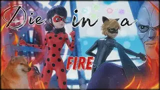 MLB AMV | Ladybug And Chat Noir | Die In A Fire 