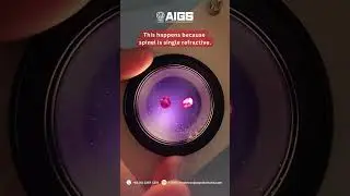 Gem identification : Ruby vs. Spinel part 2 #gemologists #gemstones #gemologycourse #อัญมณีศาสตร์