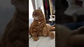 Царица 👑 