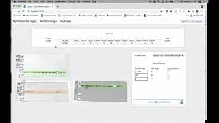 Automated Western blot image analysis workflow