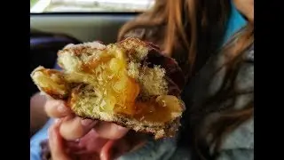 COFFEE and DONUTS in MAINE | East Coast Vanlife Trip
