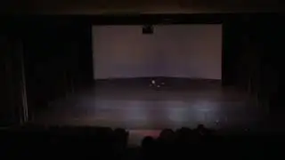 Акробатический танец соло Black Cat.