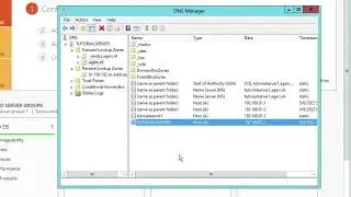 Windows Server 2012 Domain Name System (DNS) Reverse lookup