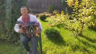 Недотрога. стихи: Натальи Курбановой(Шамаровой) музыка:Василия Плешакова.