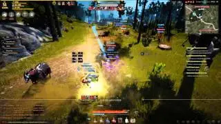 Black Desert 11 29 2015   17 31 50 03