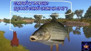 Русская рыбалка 4 (РР4) - ТРИ ТРОФЕЙНЫХ САЗАНА. ГДЕ МОЙ РЕДКИЙ САЗАН?