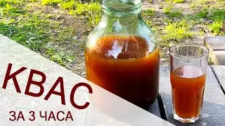 КВАС ЗА 3 ЧАСА С ЦИКОРИЕМ