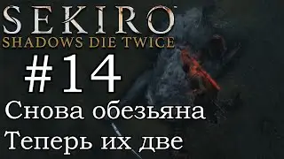 Вторая встреча с Обезьяной Стражем / Прохождение Sekiro: Shadows Die Twice #14