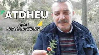 ATDHEU -  sipas Fatos BAXHAKUT