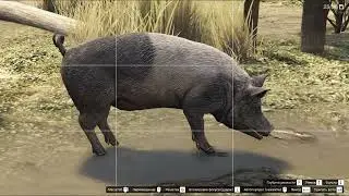 Grand Theft Auto V. Фотоохота на животных. Тайм-код.