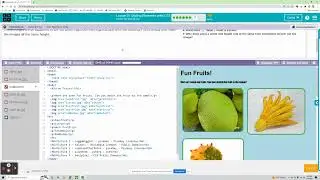 Unit 2: Lesson 11 - Styling Elements with CSS I Web Development ('22-'23) - Code.org