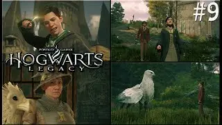 Hogwarts Legacy PC Part 9 #hogwartslegacy