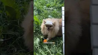 Как улыбнулась в конце🥹