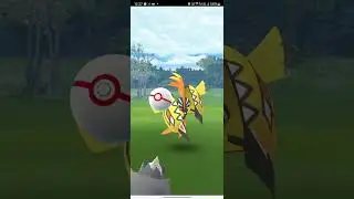 Raid Alert: Tapu Koko Invades Pokémon GO - Unleash Your Power! |  #pokemongo