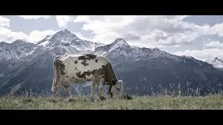 Flowless    Episode 2   Bormio Bike Park