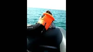 Донузлав, крым