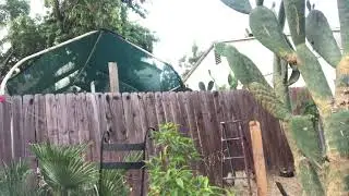 Crazy man attacks unsuspecting chair with WD-40 and a pickle