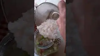 pétillant de rhubarbe avec du kéfir (2)