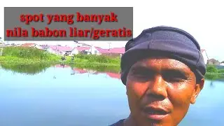 MEMANCING IKAN NILA PANEN STRAIGHT/PANCING GARONG/BOOMNETH